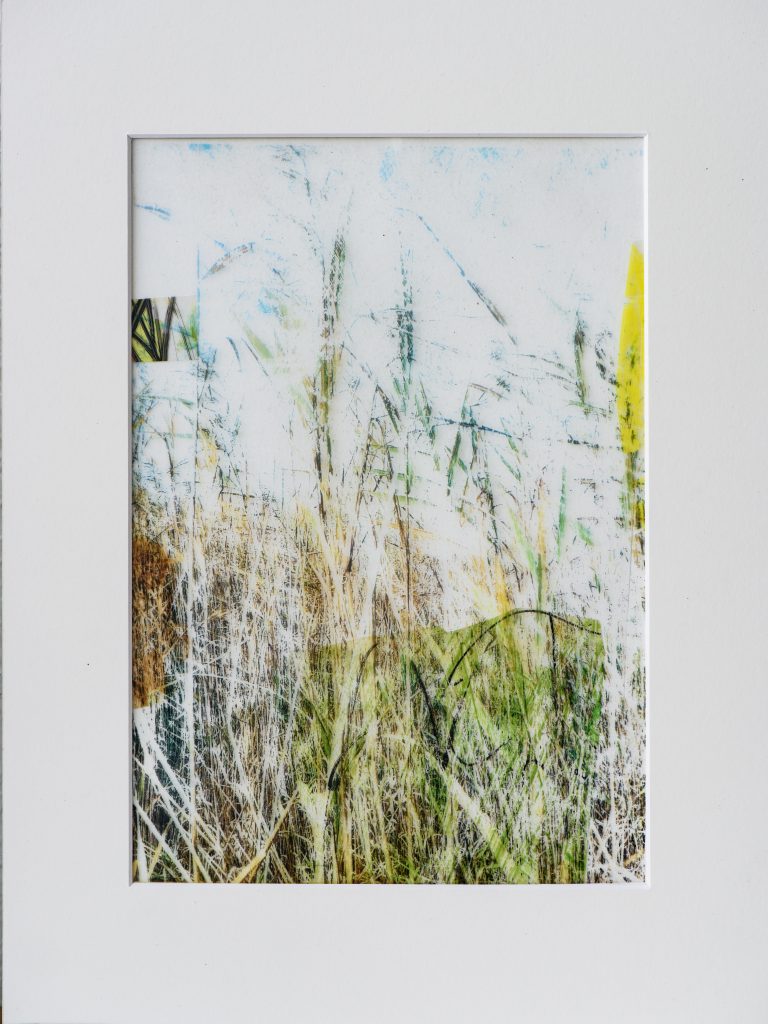 Bodensee 1 crossovermontage 17 x 25 cm