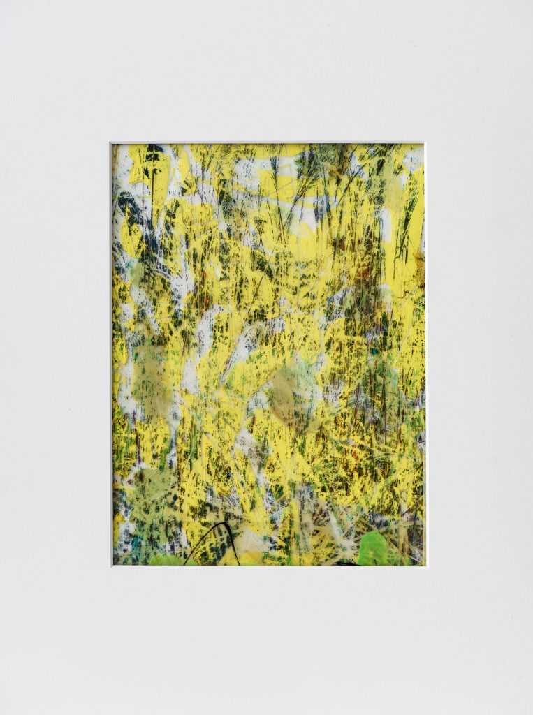 Bodensee 5 crossovermontage 17 x 25 cm