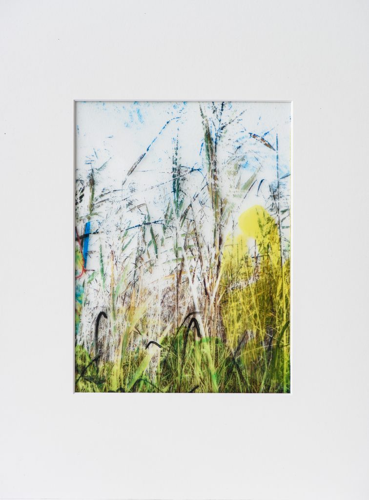 Bodensee 6 crossovermontage 17 x 25 cm